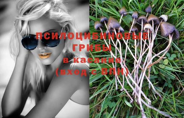 экстази Алексеевка